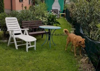 WhatsApp Image 2026-04-08 at 20.38.13 (4).jpeg - Appartamento Via Lanfranco Alberico 44, Genova (zona Apparizione) - foto 27