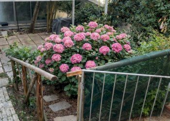 C49459A4-2902-41CB-A929-D9582FB0FCD4.png - Appartamento Via Vittorio Veneto, Ancona - foto 6