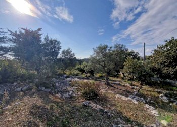 WhatsApp Image 2026-04-01 at 19.02.22.jpeg - Casa indipendente Ostuni - foto 5