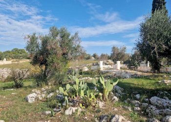 WhatsApp Image 2026-04-01 at 19.02.35.jpeg - Casa indipendente Ostuni - foto 6