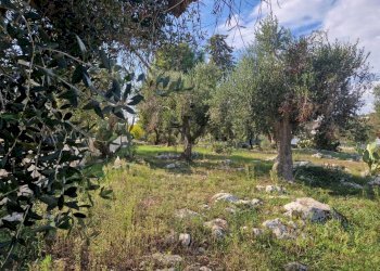 WhatsApp Image 2026-04-01 at 19.02.59 (1).jpeg - Casa indipendente Ostuni - foto 7