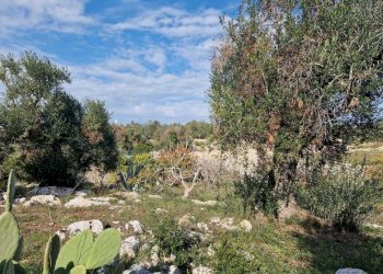 WhatsApp Image 2026-04-01 at 19.05.34 (1).jpeg - Casa indipendente Ostuni - foto 9