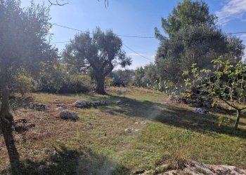 WhatsApp Image 2026-04-01 at 19.05.45 (1).jpeg - Casa indipendente Ostuni - foto 10