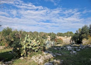 WhatsApp Image 2026-04-01 at 19.05.53.jpeg - Casa indipendente Ostuni - foto 11