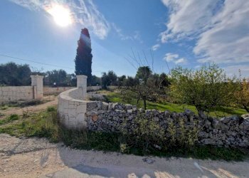 WhatsApp Image 2026-04-01 at 19.07.41.jpeg - Casa indipendente Ostuni - foto 12