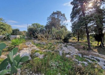 WhatsApp Image 2026-04-01 at 19.06.01.jpeg - Casa indipendente Ostuni - foto 13