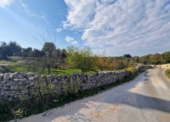 WhatsApp Image 2026-04-01 at 19.07.42.jpeg - Casa indipendente Ostuni - foto 16