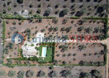 image-1775721962992.png - Independent house San Vito dei Normanni - photo 5