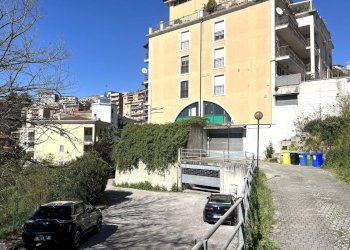 IMG_3945.JPG - Box Via della Peschiera, Anagni - foto 1