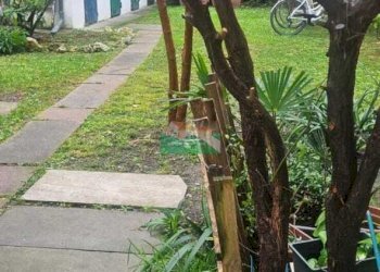 PHOTO-2025-10-31-12-35-00 2.jpg - Attic Via Tombesi dall'Ova, Ravenna - photo 11