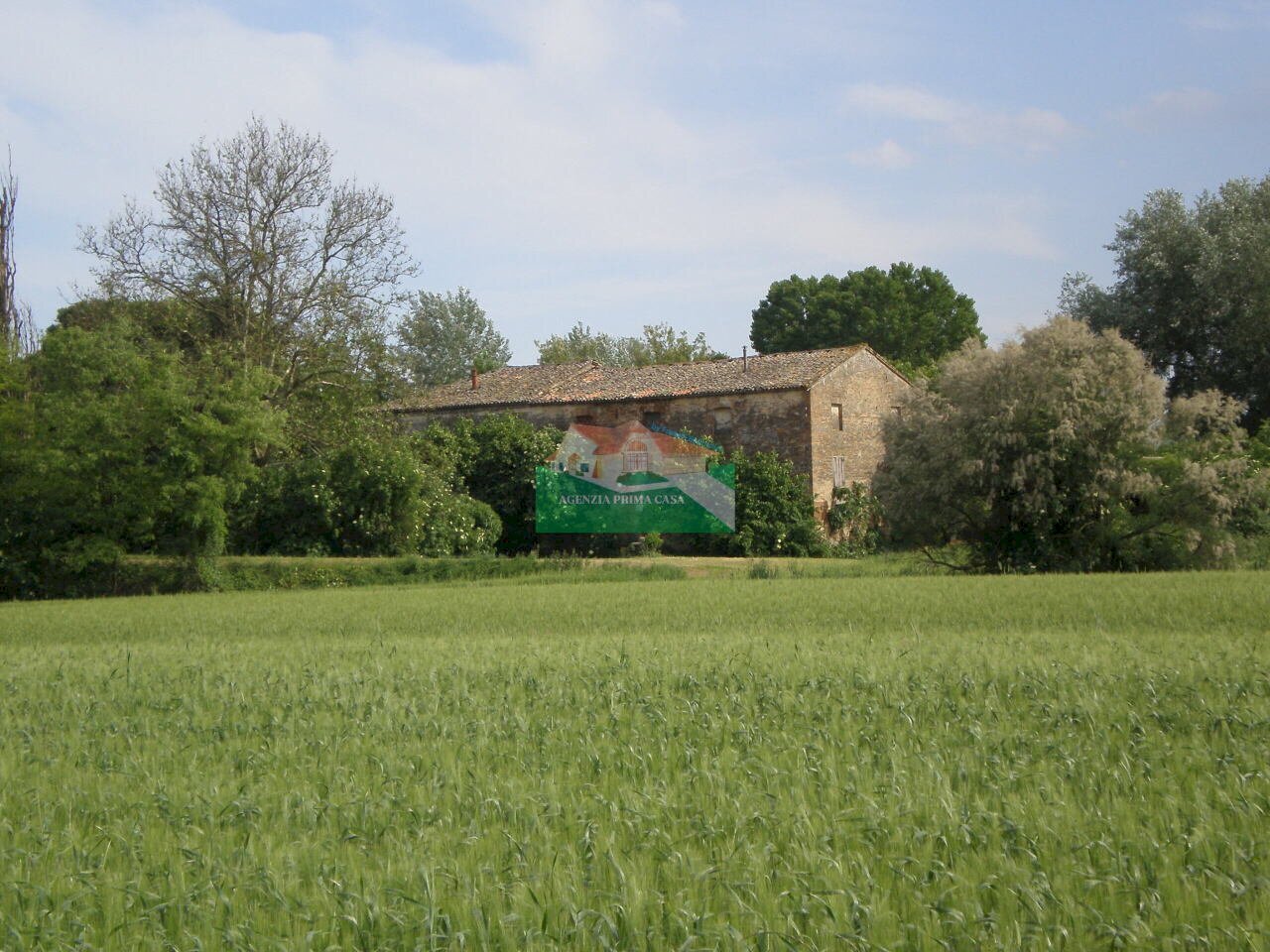 P5180368.JPG - Casale Ravenna - foto 2