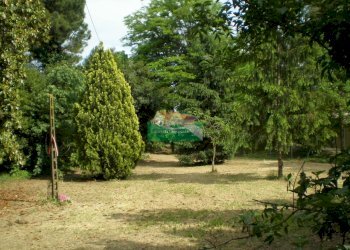 P5180354.JPG - Casale Ravenna - foto 4