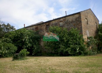 P5180334.JPG - Casale Ravenna - foto 6