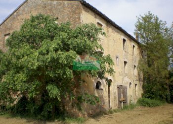 P5180338.JPG - Casale Ravenna - foto 7