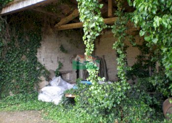 P5180361.JPG - Casale Ravenna - foto 11