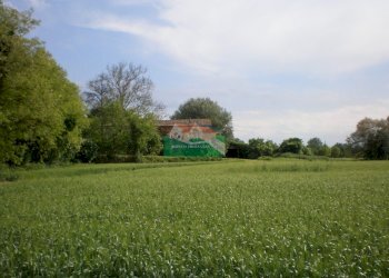 P5180366.JPG - Casale Ravenna - foto 13