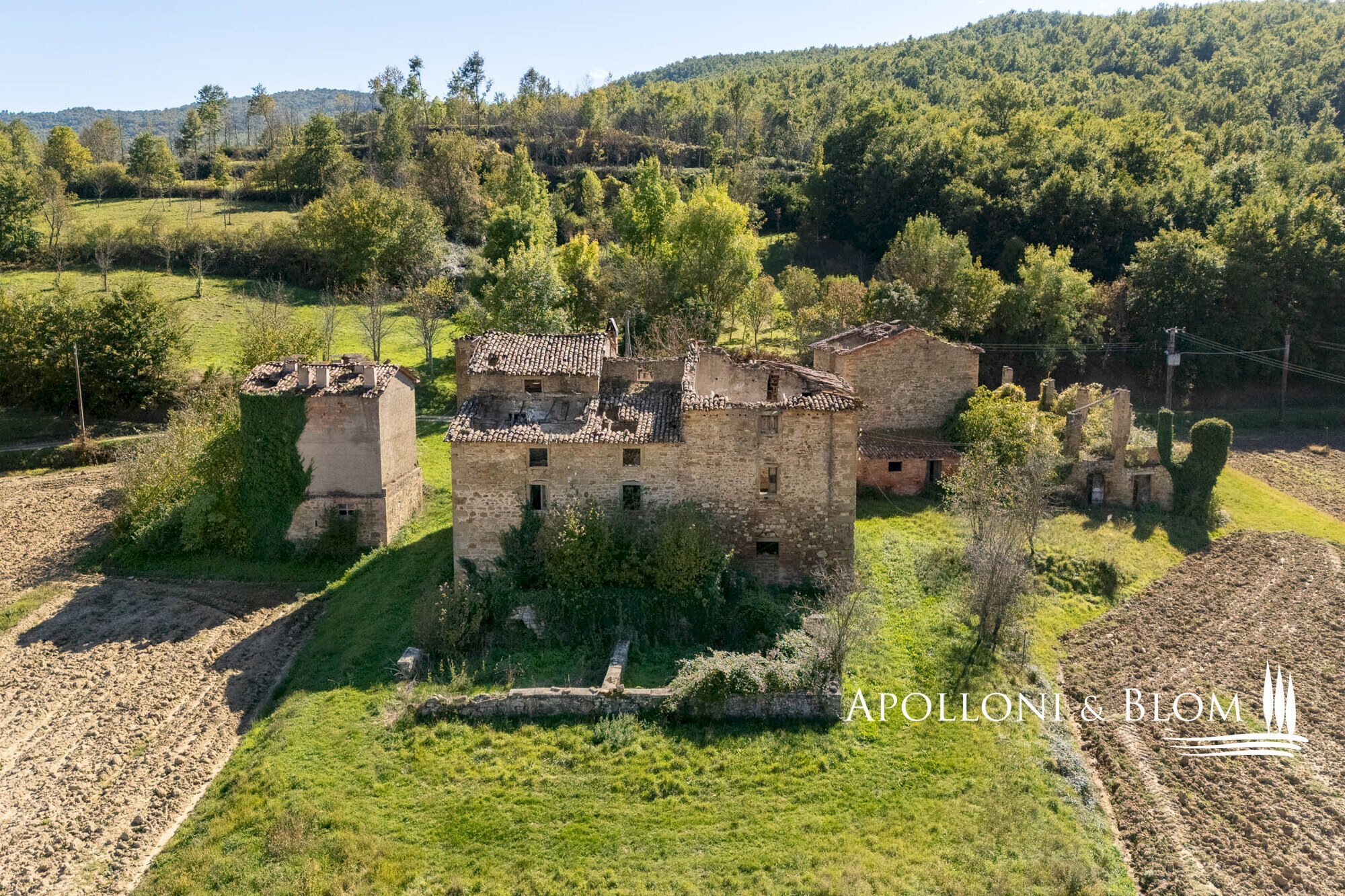 Rustico Strada Provinciale di Trestina, 14, Città di Castello - foto 2