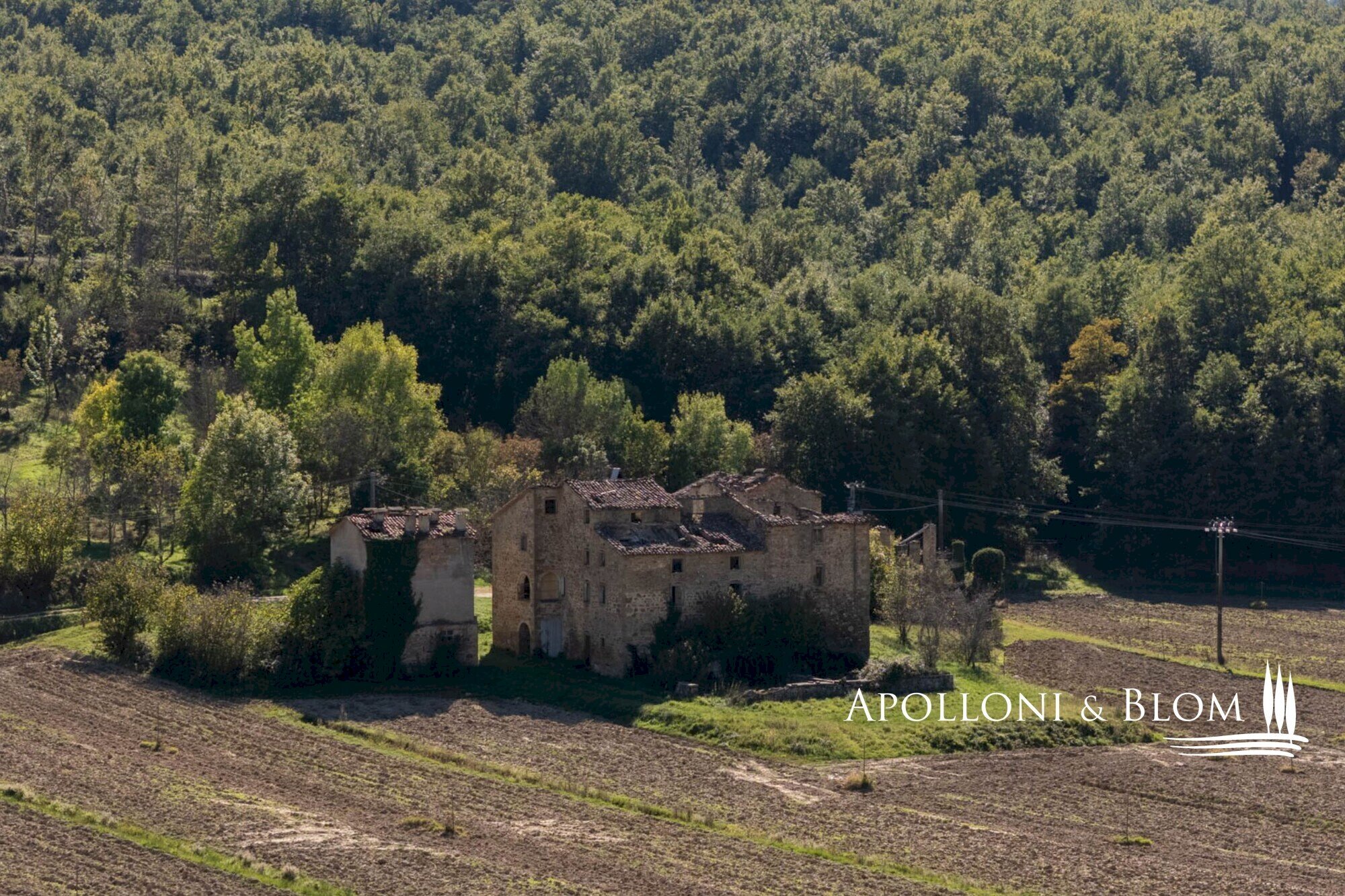 Rustico SP105, Città di Castello - foto 3