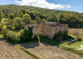 Rustico Strada Provinciale di Trestina, 14, Città di Castello - foto 1