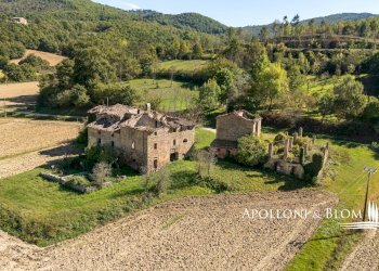 Rustico Strada Provinciale di Trestina, 14, Città di Castello - foto 3