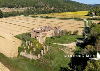 Rustico Strada Provinciale di Trestina, 14, Città di Castello - foto 5