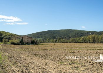 Rustico Strada Provinciale di Trestina, 14, Città di Castello - foto 7