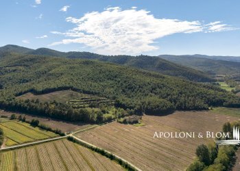 Rustico Strada Provinciale di Trestina, 14, Città di Castello - foto 25
