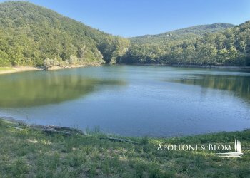 Rustico Strada Provinciale di Trestina, 14, Città di Castello - foto 30