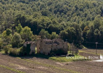 Rustico SP105, Città di Castello - foto 3
