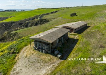 Rustico Strada Provinciale 14, 87, Montalcino - foto 42