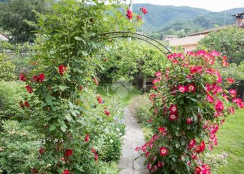 Villa Via Chiesa, Pagno - foto 2