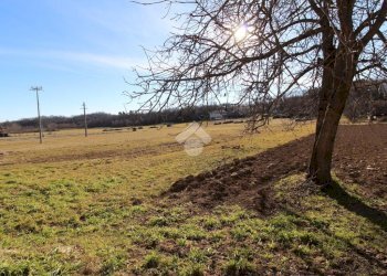 Casa semi indipendente Via Roma, Zimone - foto 17