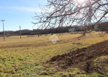 Casa semi indipendente Via Roma, Zimone - foto 22