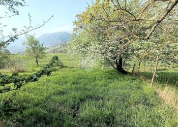Casa semi indipendente Frazione costa merlassino, Cantalupo Ligure - foto 20