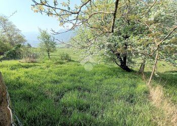 Casa semi indipendente Frazione costa merlassino, Cantalupo Ligure - foto 21