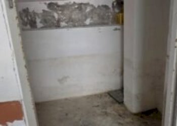 Magazzino Albenga - foto 6