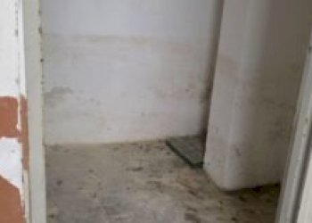 Magazzino Albenga - foto 7