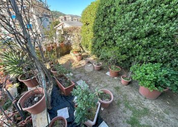 Quadrilocale Via Cerisola, Rapallo - foto 7