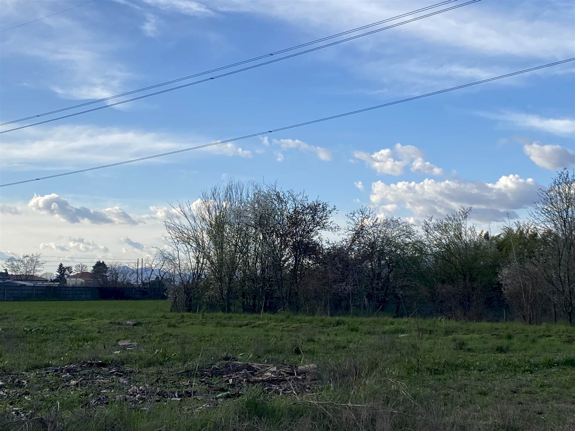 Terreno agricolo Zanica - foto 2