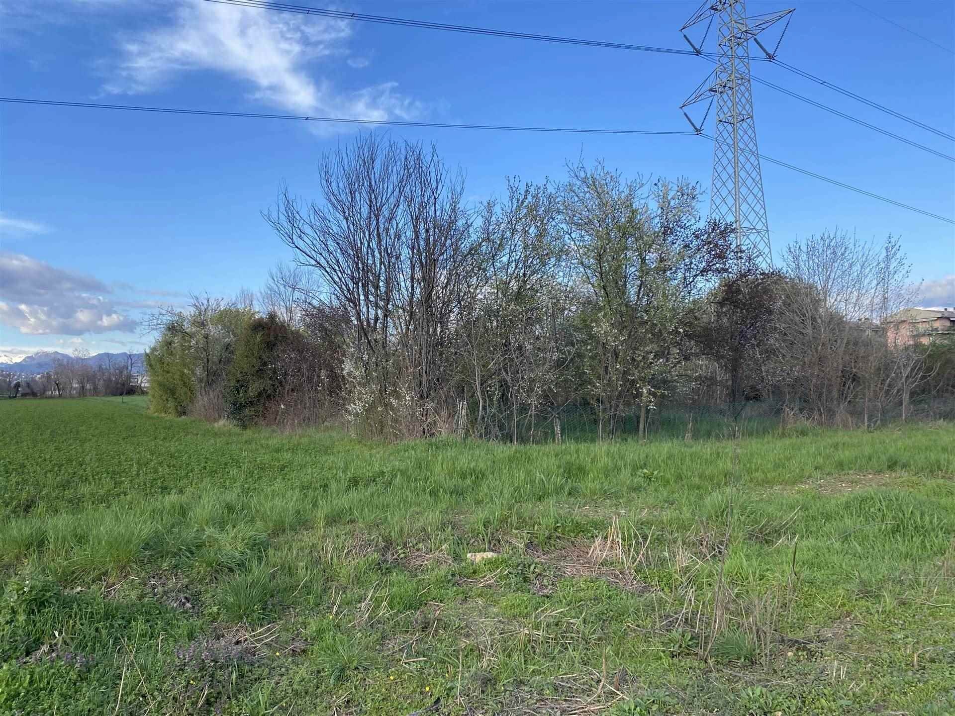 Terreno agricolo Zanica - foto 3