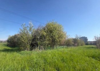 Terreno agricolo Zanica - foto 1