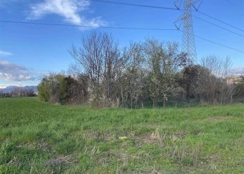 Terreno agricolo Zanica - foto 3