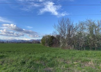 Terreno agricolo Zanica - foto 4