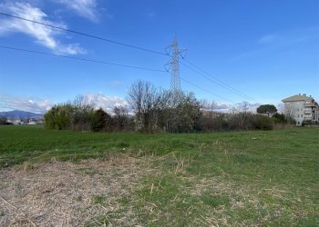Terreno agricolo Zanica - foto 5