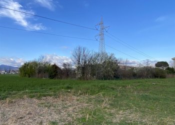 Terreno agricolo Zanica - foto 6