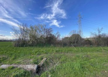 Terreno agricolo Zanica - foto 7