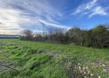 Terreno agricolo Zanica - foto 8