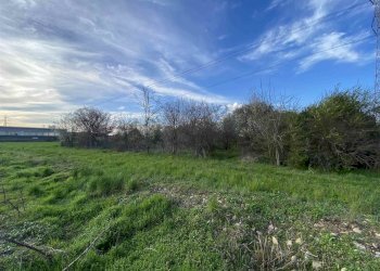 Terreno agricolo Zanica - foto 9