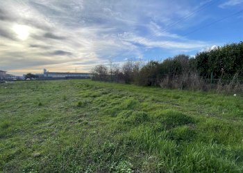 Terreno agricolo Zanica - foto 10