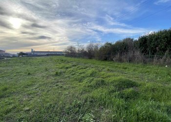 Terreno agricolo Zanica - foto 11